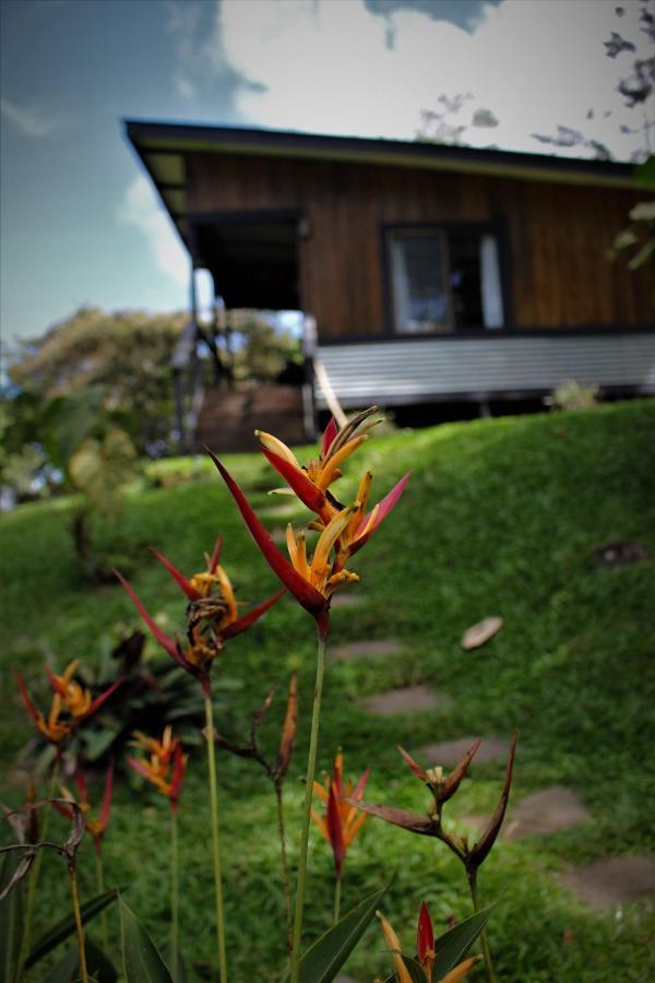 The Lodge At Reventazon River Mountain Ranch 투리알바 외부 사진