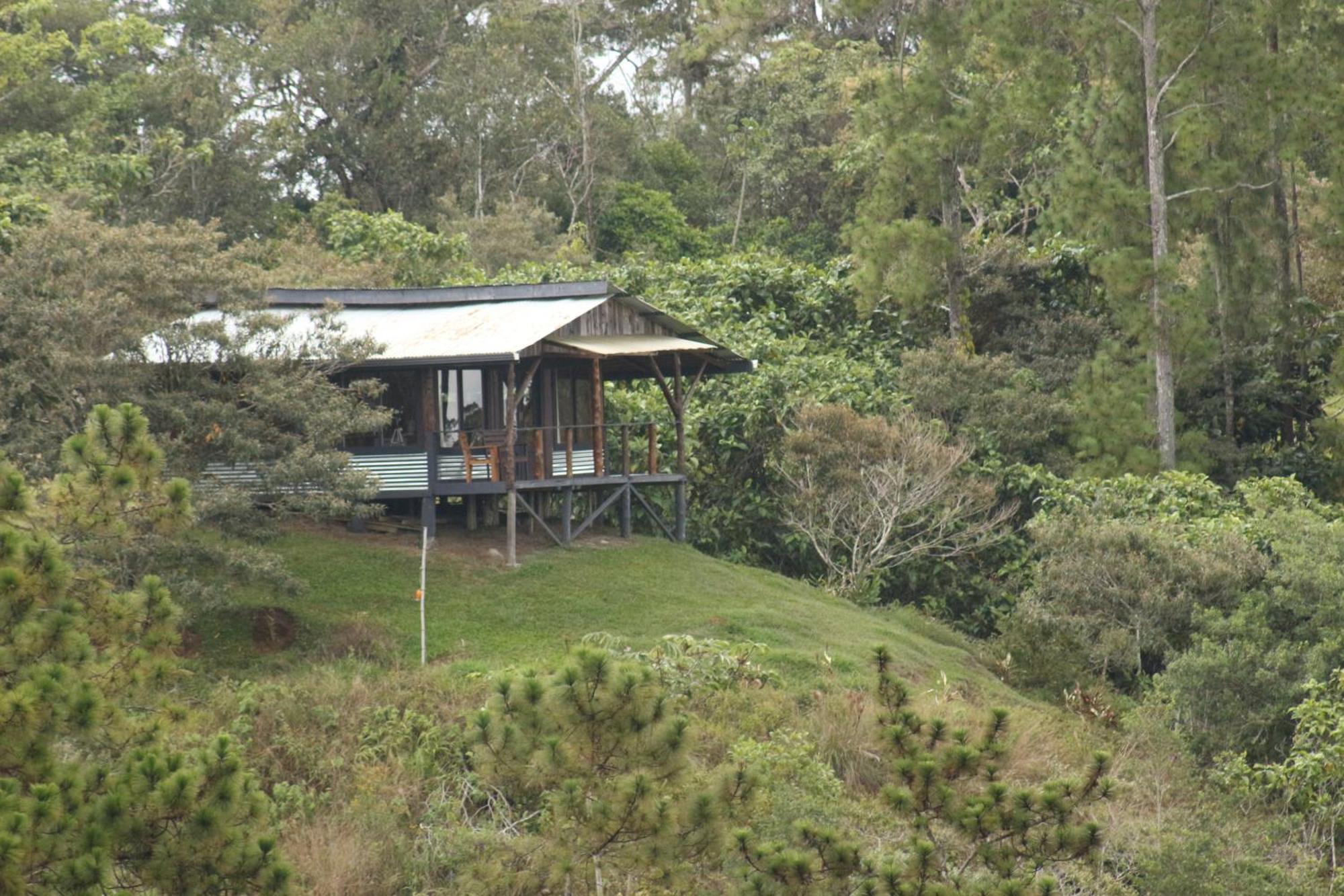 The Lodge At Reventazon River Mountain Ranch 투리알바 외부 사진