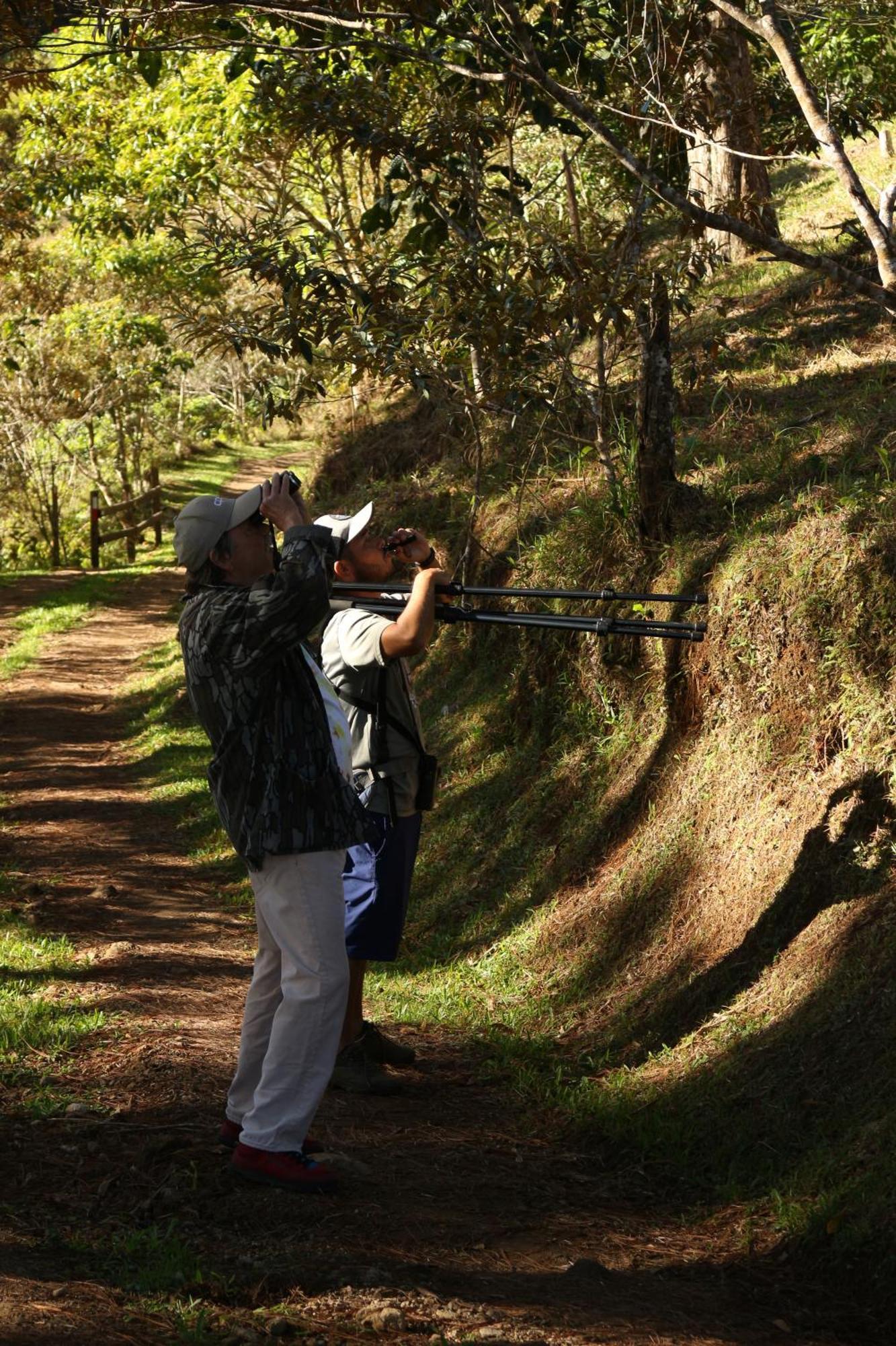 The Lodge At Reventazon River Mountain Ranch 투리알바 외부 사진